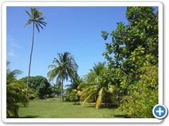 20150525_111439