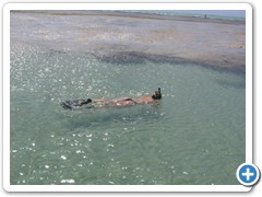 reef4